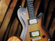 Godin Icon Type2 Convertible