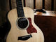 Taylor GS Mini