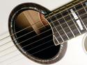 Yamaha APX1000