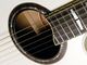 Yamaha APX1000