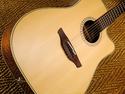 Takamine EF300W