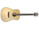 Walden D2040