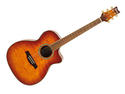 Ibanez A300E-VV