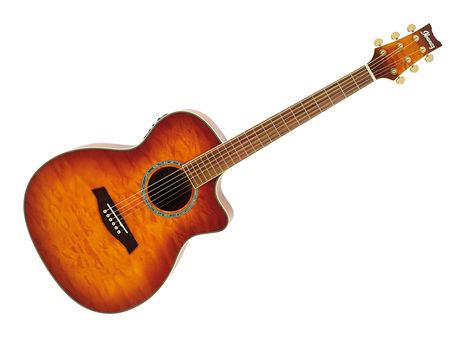 Ibanez A300E-VV