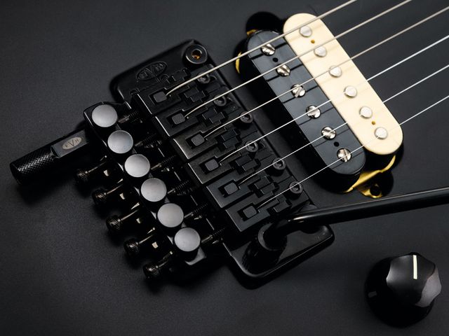 EVH Wolfgang The EVH licensed Floyd Rose also features his now customary D-Tuna.