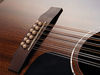A gorgeous all-mahogany 12-string dreadnought