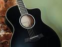 Taylor Doyle Deluxe