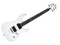 ESP LTD H-330NT