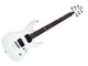 ESP LTD H-330NT