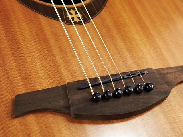 Lag T200D An attractive soundhole rosette is the T200D's only decorative feature.