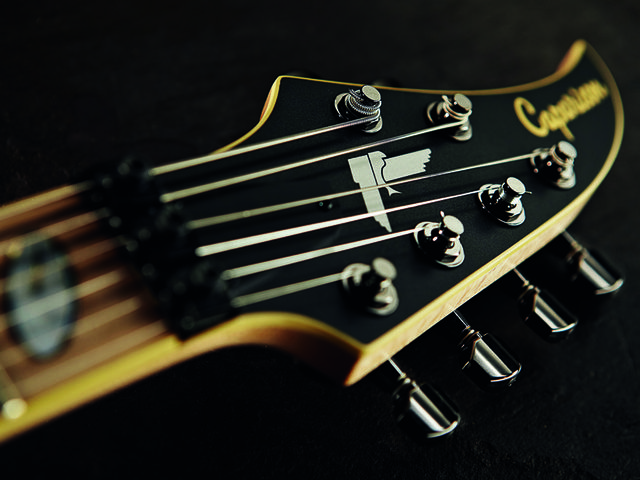 Caparison Horus-HGS The Devil's Tail headstock leaves no doubt about the metal intentions here.