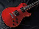 Washburn Idol WINPRO