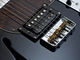 Fret-King Black Label Country Squire Semitone