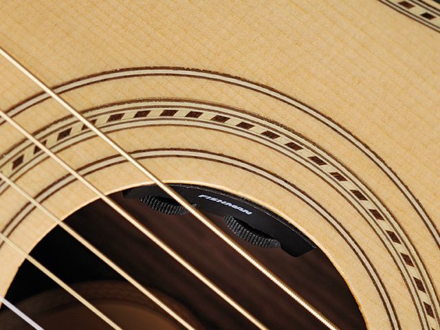 Vintage Paul Brett Signature VE8000PB Volume and tone controls sit in the soundhole.