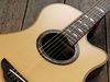 Yamaha APX1200II (£1189) An update to Yamaha's popular gigging electro