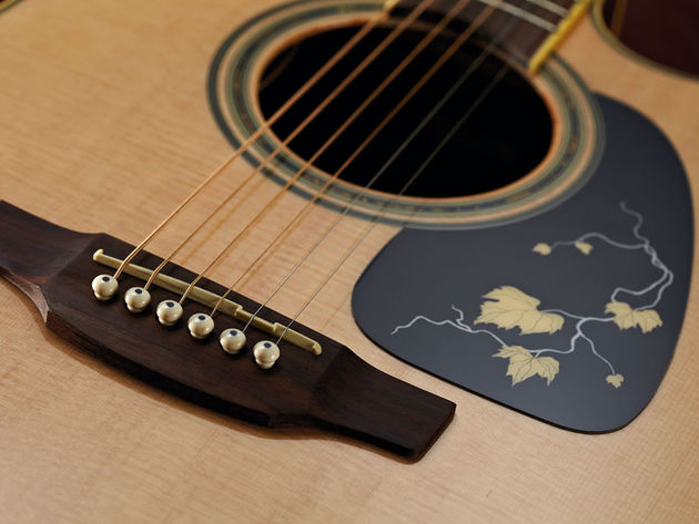 Takamine EG50TH Anniversary (£550)