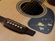 Takamine EG50TH Anniversary