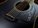 Takamine LTD 2012 'Michi'