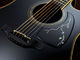 Takamine LTD 2012 'Michi'
