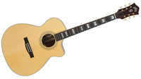 Guild GSR F-30CE Cocobolo
