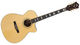Guild GSR F-30CE Cocobolo