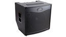 Peavey Tour Series TKO 115