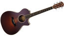 Taylor 712ce