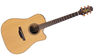 Takamine P3DC A cutaway dreadnaught acoustic guitar built for a slog