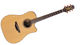 Takamine P3DC