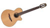 Takamine P3FCN A jumbo 12-string acoustic guitar with class