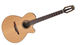 Takamine P3FCN