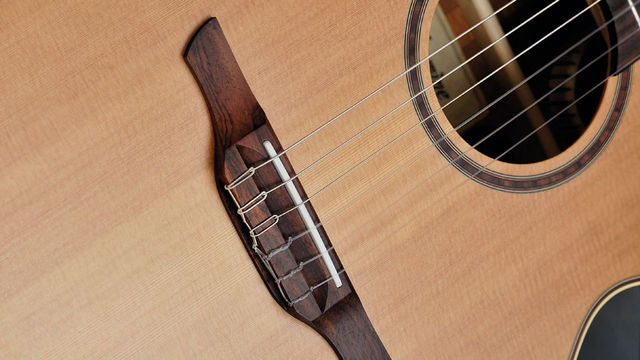Takamine P3FCN (bridge) blank