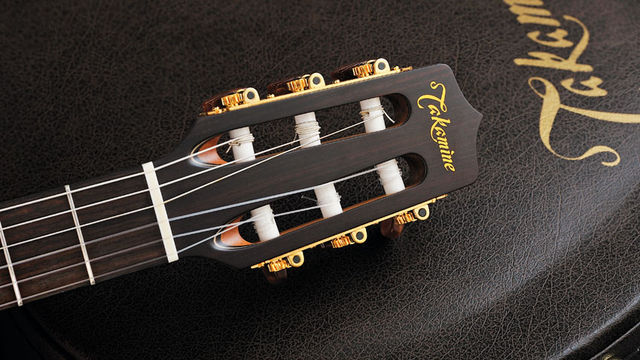 Takamine P3FCN (headstock) blank