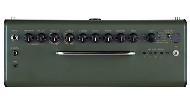 Yamaha THR10X (controls) blank