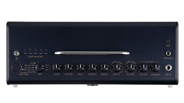 Yamaha THR10C (controls) blank