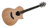 Patrick James Eggle Saluda Florentine A sweet-toned, luxurious acoustic guitar