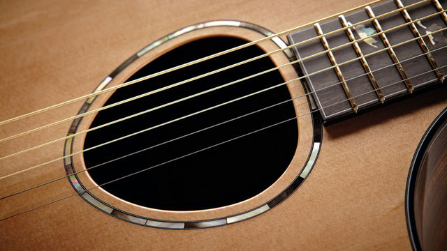 Soundholes blank