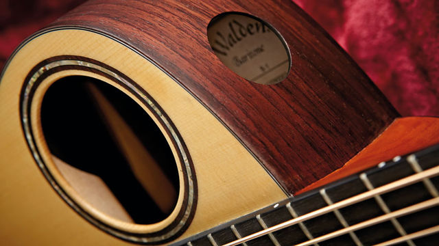Soundholes blank