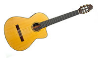 Chris George Custom CE-N