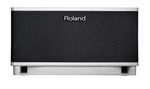Roland CUBE Lite