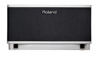 Roland CUBE Lite