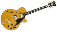 D'Angelico EX-SS