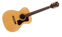 Guild Standard F-30