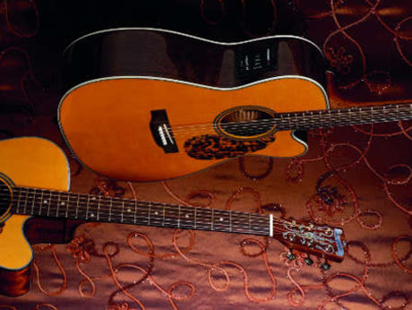 Blueridge BR163CE