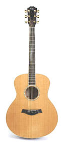 Taylor GSMS