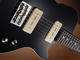 St Blues Mississippi Bluesmaster