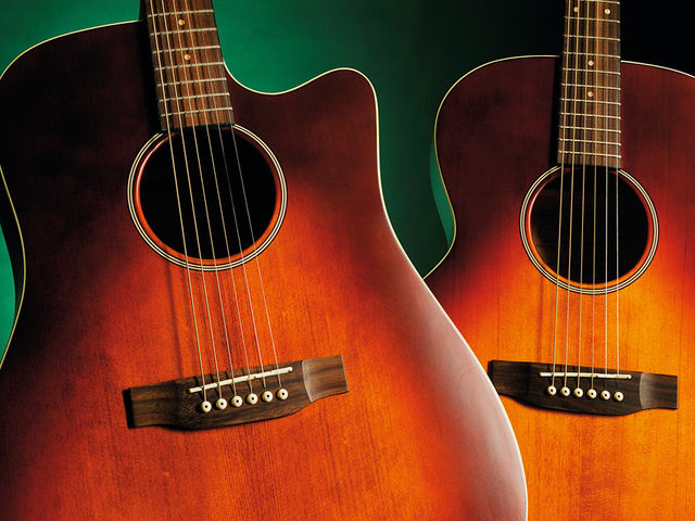 The EG5303SC alongside its non-cutaway sibling, the EG5403S