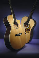 Stanford Guitars MSGC100