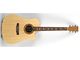 Martin DCX1E Tawny Satinwood
