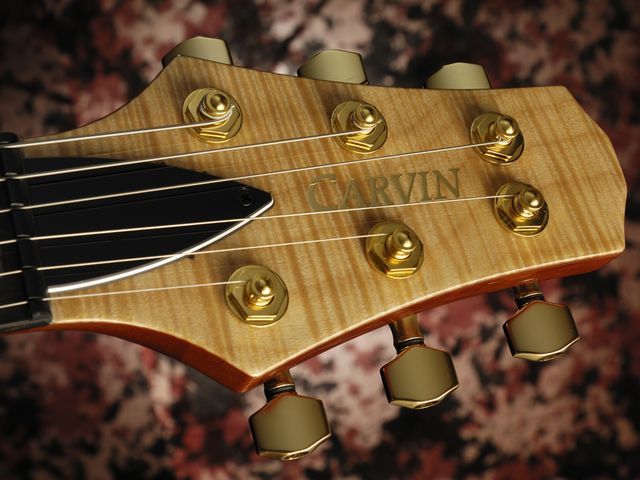 Carvin SH575 blank